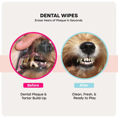 Uproot PureCare™ Kit