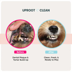 Uproot™ Dental Wipes